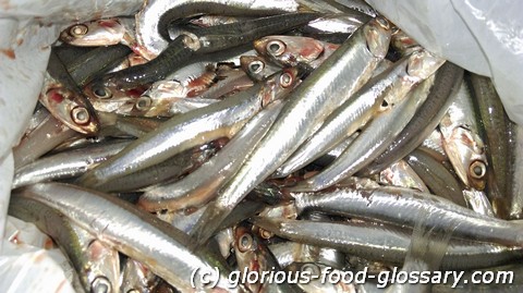 Dilis na sariwa (fresh Anchovies)