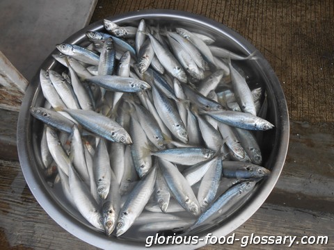 Galunggong, a kind/variety of fish (Isda) in the Philippines This is called Galunggong in the Philippines, used to be the fish for the ""poor"" probably because it was the cheapest fish way back when I was small. My sister-in-law makes something nice with this fish. I loved it fried and cooked with lots on chopped onions, garlic and tomatoes called Sarciado. My mommy used to make that for us