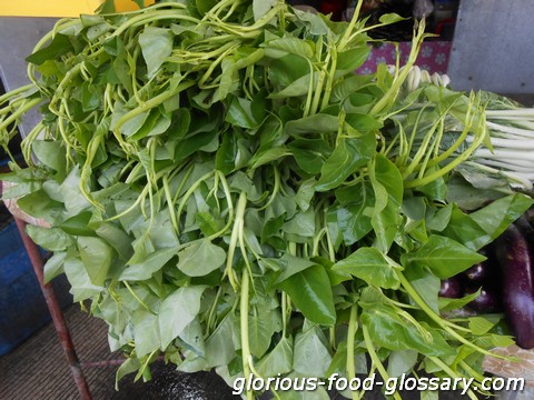 The lowly but surely delicious greens in the Philippines called Kangkong, water spinach. I want it Adobo or cook with Nilaga or Sinigang