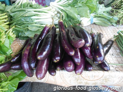 Talong/Eggplant/Aubergine