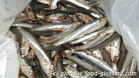 Dilis na sariwa (fresh Anchovies)